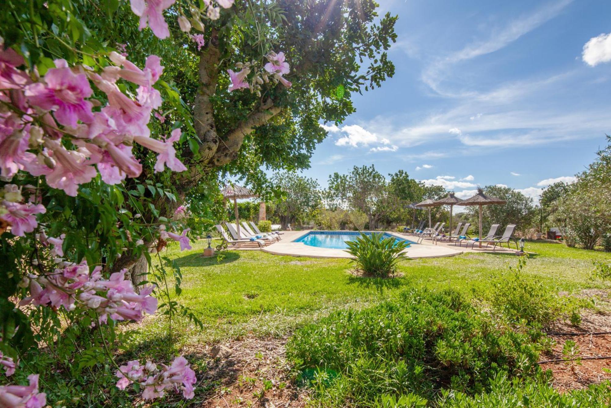 Finca Son Marimon (Adults Only) サンタニー エクステリア 写真