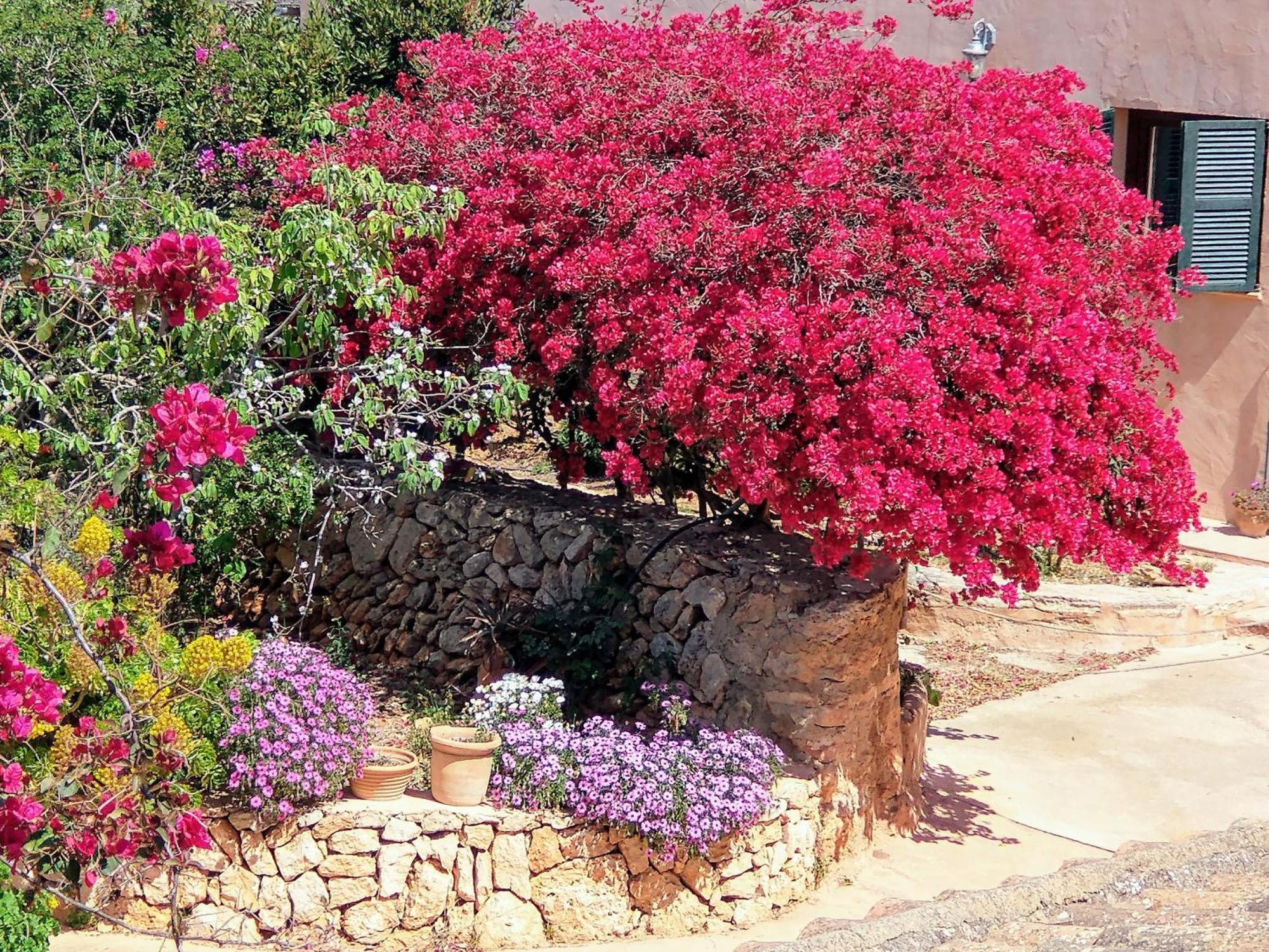 Finca Son Marimon (Adults Only) サンタニー エクステリア 写真