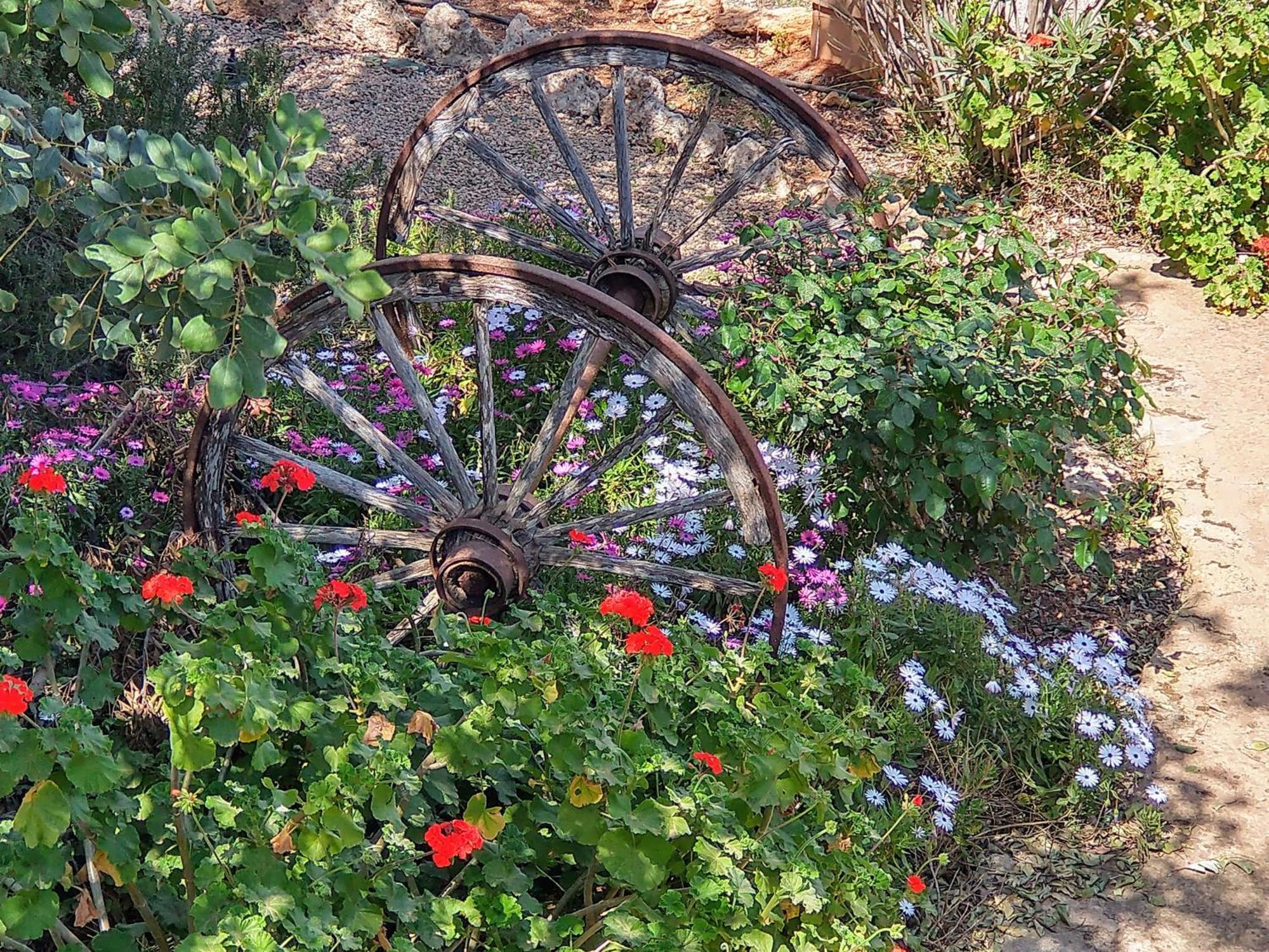Finca Son Marimon (Adults Only) サンタニー エクステリア 写真