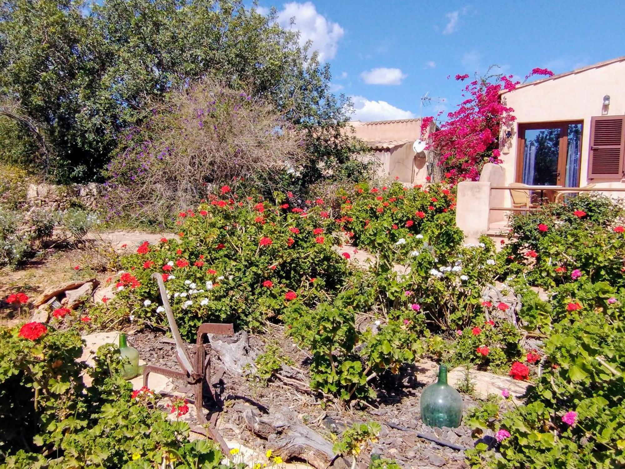 Finca Son Marimon (Adults Only) サンタニー エクステリア 写真