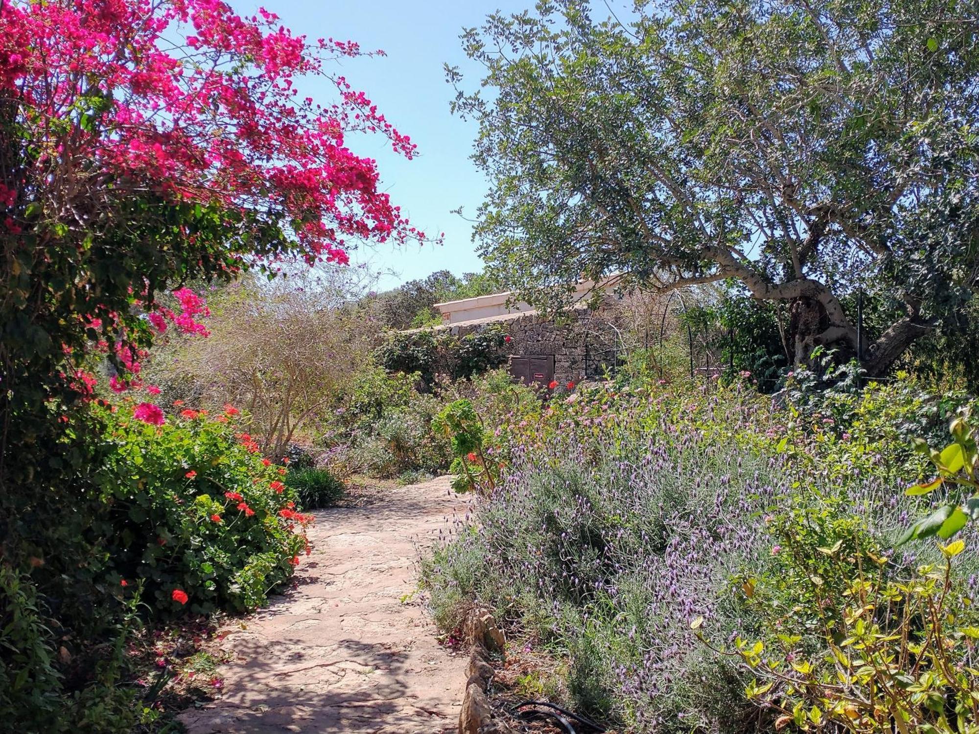 Finca Son Marimon (Adults Only) サンタニー エクステリア 写真
