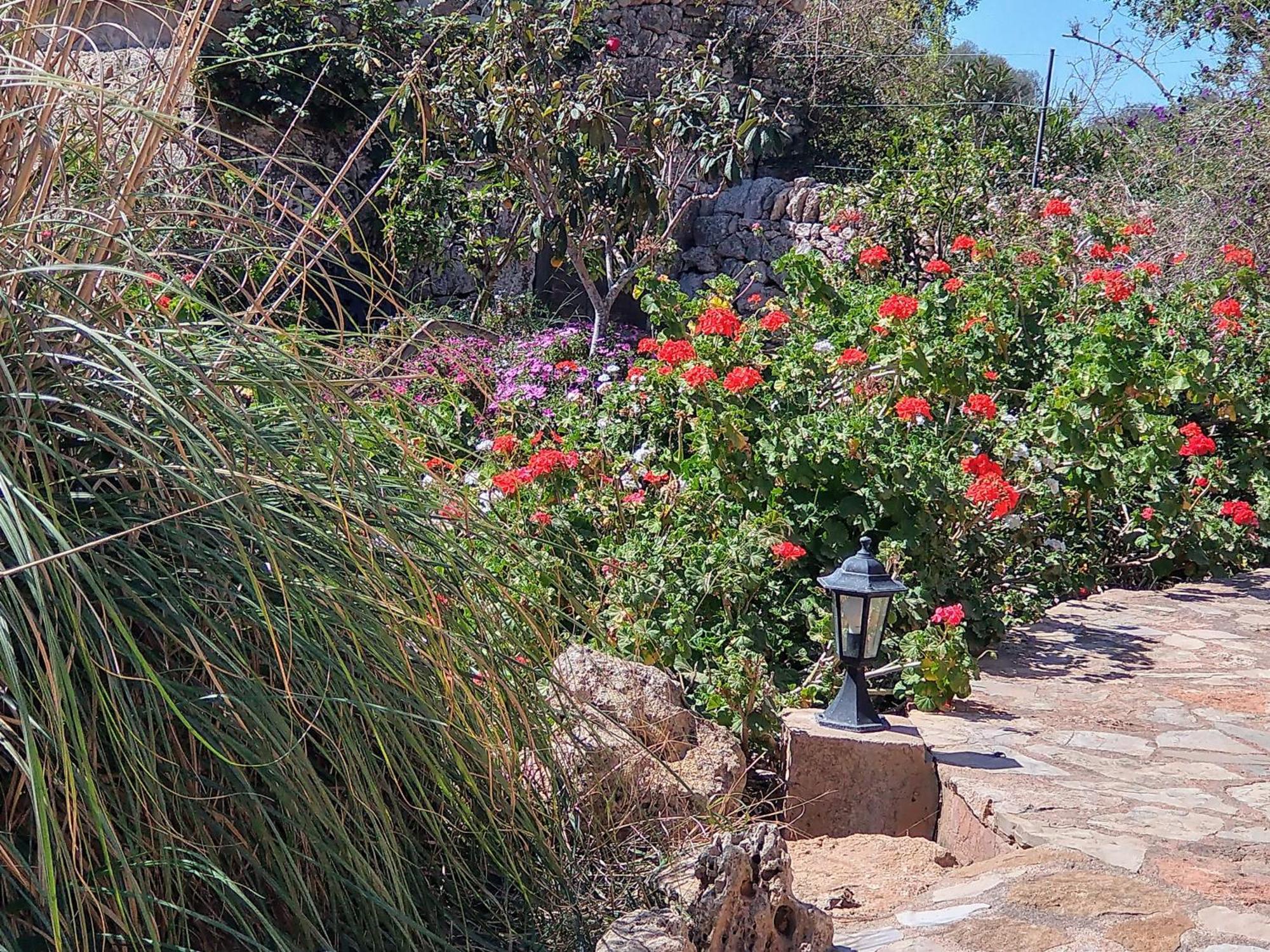 Finca Son Marimon (Adults Only) サンタニー エクステリア 写真
