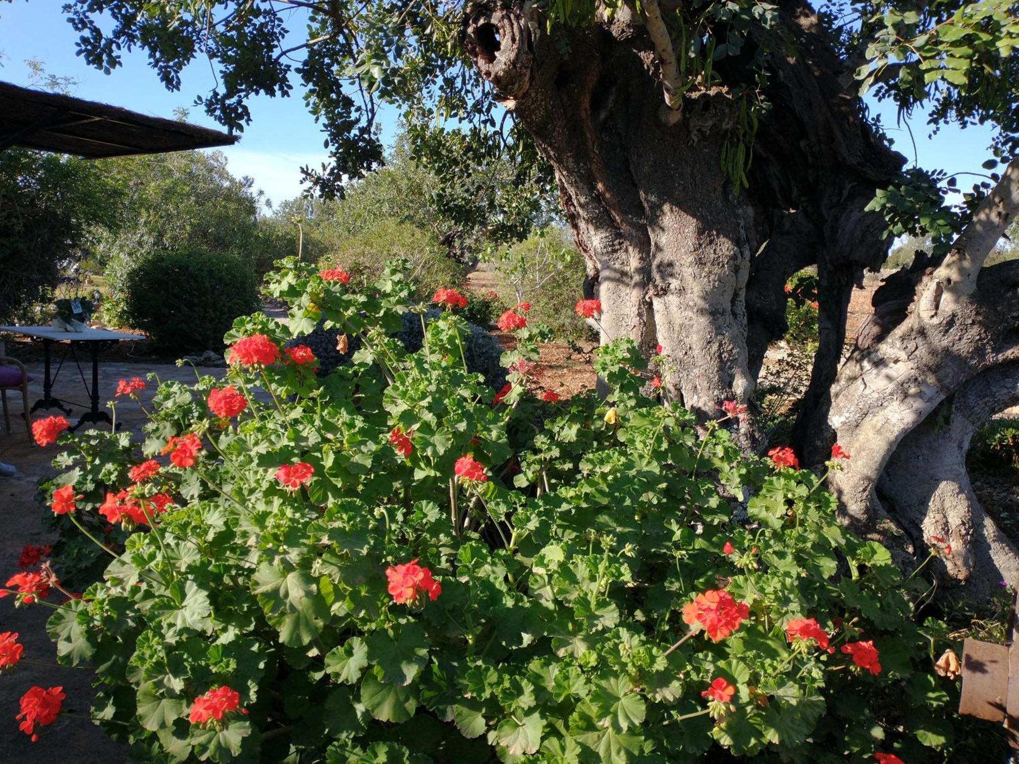 Finca Son Marimon (Adults Only) サンタニー エクステリア 写真