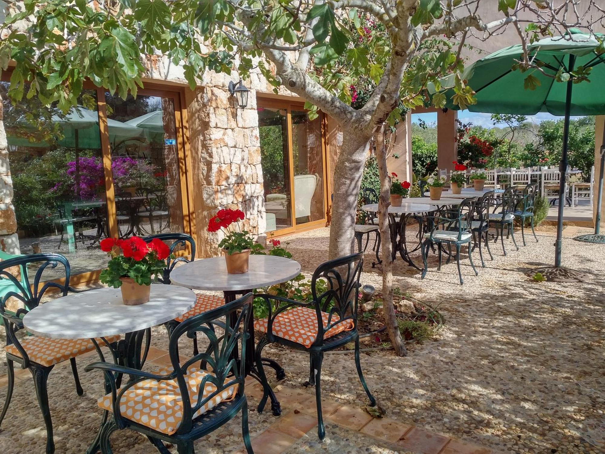 Finca Son Marimon (Adults Only) サンタニー エクステリア 写真