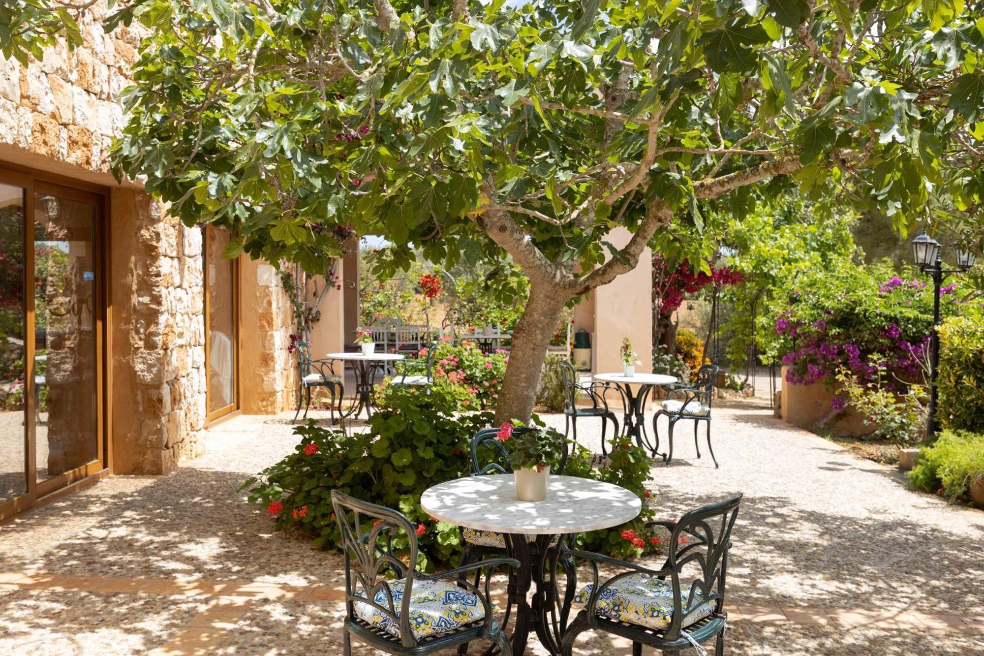 Finca Son Marimon (Adults Only) サンタニー エクステリア 写真
