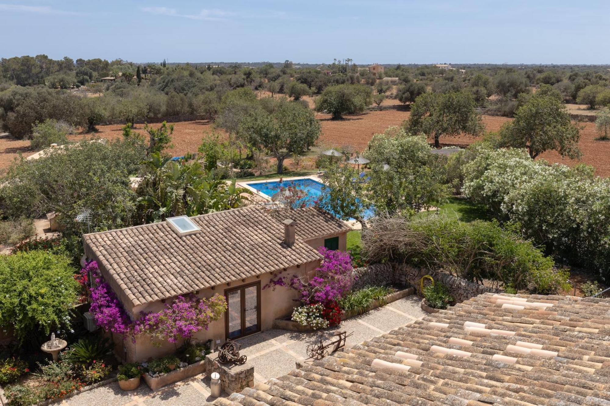 Finca Son Marimon (Adults Only) サンタニー エクステリア 写真