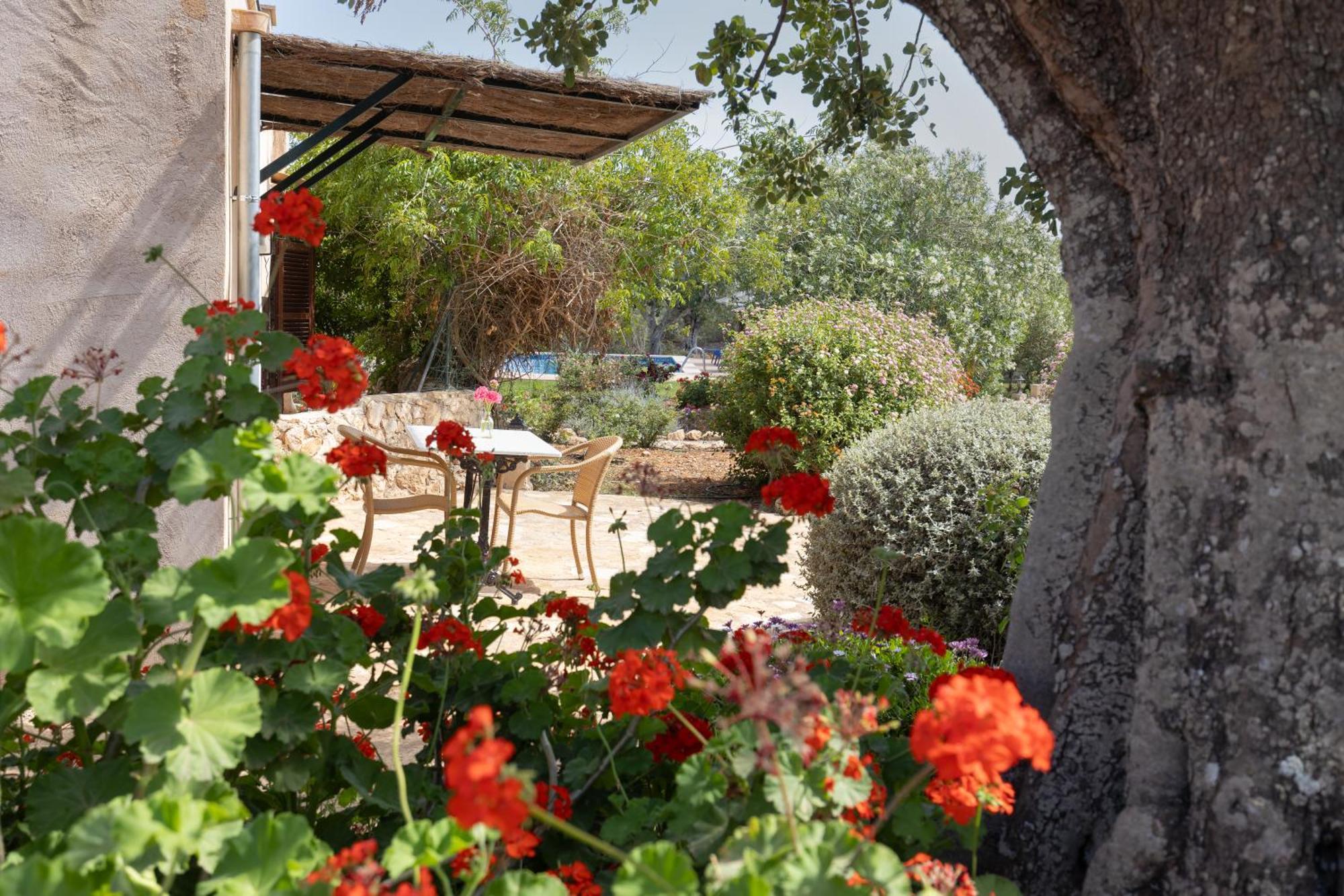 Finca Son Marimon (Adults Only) サンタニー エクステリア 写真