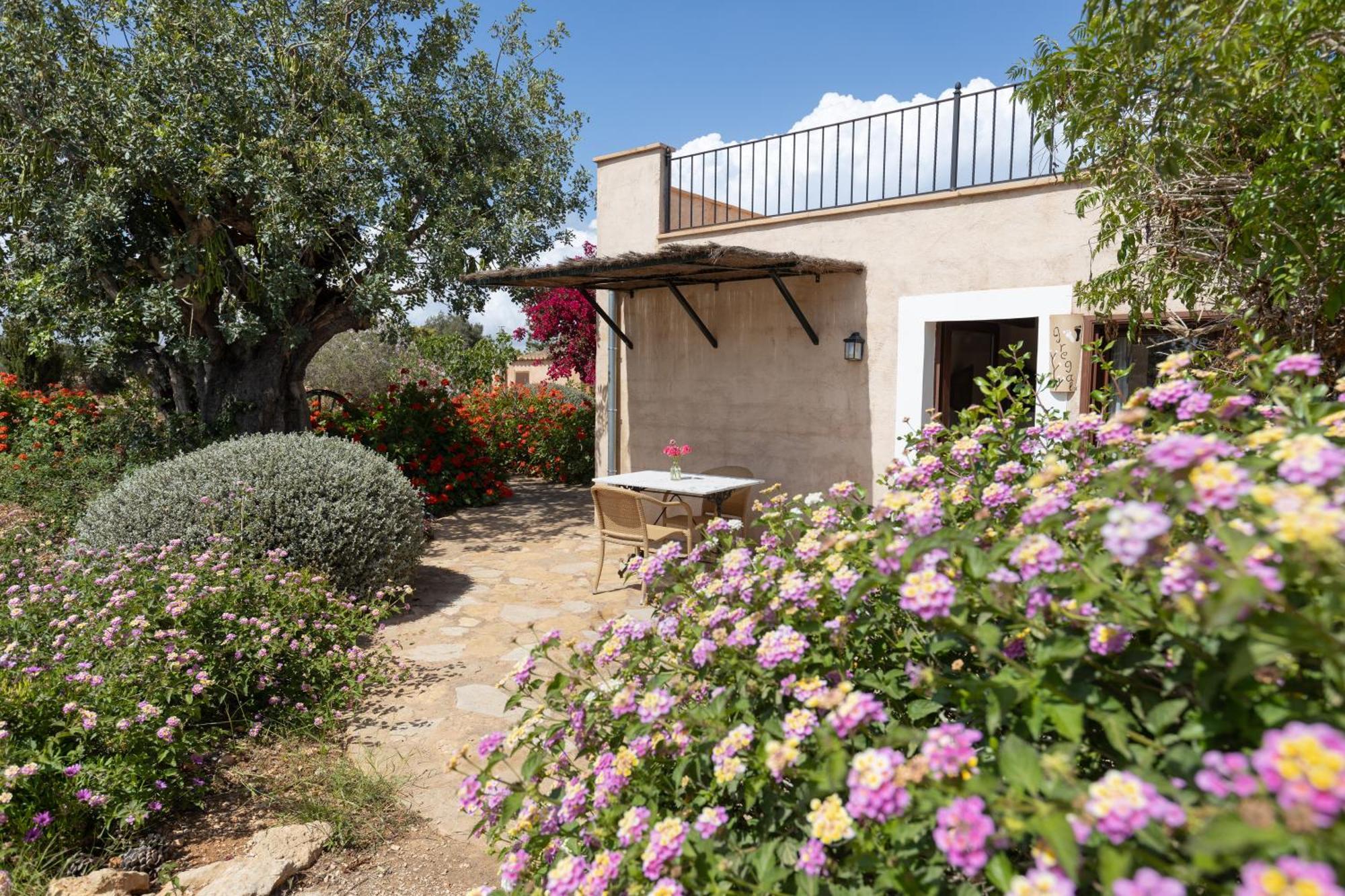 Finca Son Marimon (Adults Only) サンタニー エクステリア 写真